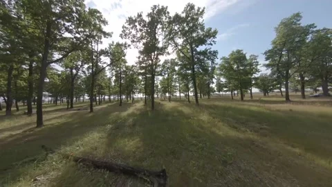 Fpv drone flight in oak grove Stock Footage 206358299