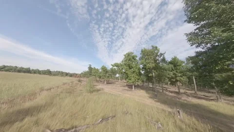 Fpv drone flight in oak grove Stock Footage 206358481