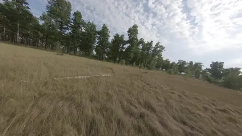 Fpv drone flight in oak grove Stock Footage 206358619