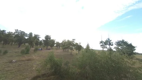 Fpv drone flight in oak grove Stock Footage 206360111