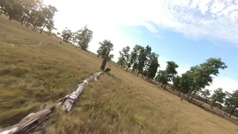 Fpv drone flight in oak grove Stock Footage 206360120