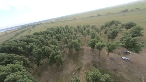Fpv drone flight in oak grove Stock Footage 206360571