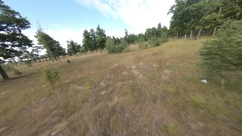 Fpv drone flight in oak grove Stock Footage 206361465