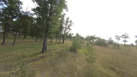 Fpv drone flight in oak grove Stock Footage 206361563