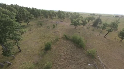 Fpv drone flight in oak grove Stock Footage 206362473