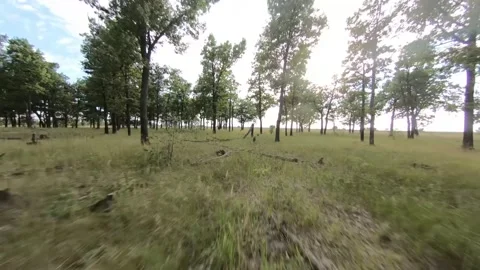 Fpv drone flight in oak grove Stock Footage 206363154