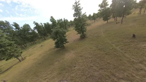 Fpv drone flight in oak grove Stock Footage 206363295