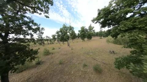 Fpv drone flight in oak grove Stock Footage 206363464