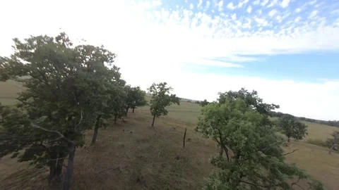 Fpv drone flight in oak grove Stock Footage 206363718