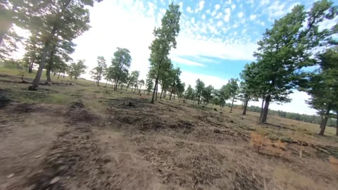 Fpv drone flight in oak grove Stock Footage 206364426
