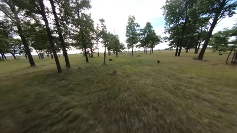 Fpv drone flight in oak grove Stock Footage 206364438