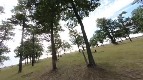 Fpv drone flight in oak grove Stock Footage 206364439