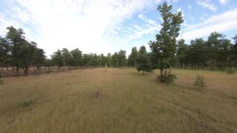 Fpv drone flight in oak grove Stock Footage 206365394