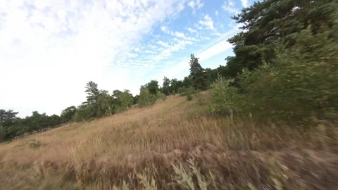 Fpv drone flight in oak grove Stock Footage 206366371