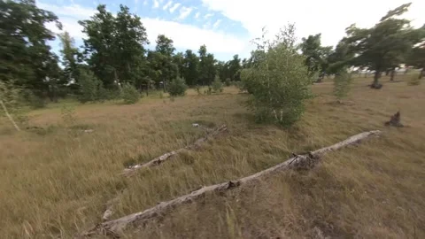 Fpv drone flight in oak grove Stock Footage 206366497