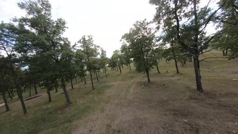 Fpv drone flight in oak grove Stock Footage 206366581