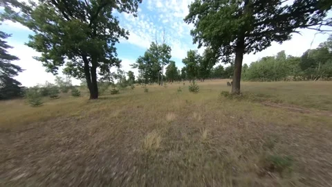 Fpv drone flight in oak grove Stock Footage 206366582