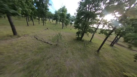 Fpv drone flight in oak grove Stock Footage 206366759