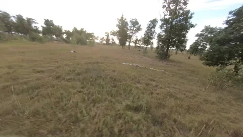 Fpv drone flight in oak grove Stock Footage 206368218