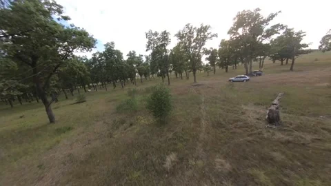 Fpv drone flight in oak grove Stock Footage 206368220