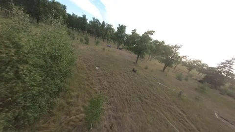 Fpv drone flight in oak grove Stock Footage 206368481