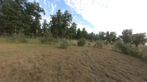 Fpv drone flight in oak grove Stock Footage 206368482