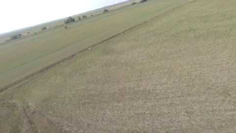 Fpv drone flight in oak grove Stock Footage 206370138