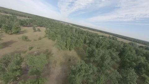 Fpv drone flight in oak grove Stock Footage 206370232