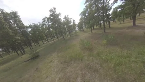 Fpv drone flight in oak grove Stock Footage 206370389