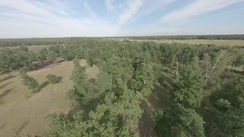 Fpv drone flight in oak grove Stock Footage 206370833
