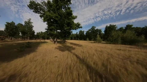 Fpv drone flight in oak grove Stock Footage 206716560