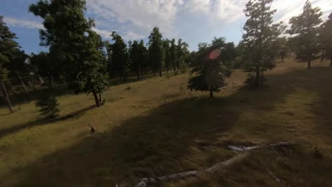 Fpv drone flight in oak grove Stock Footage 206716565