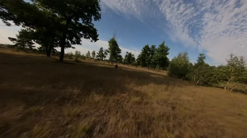 Fpv drone flight in oak grove Stock Footage 206716566