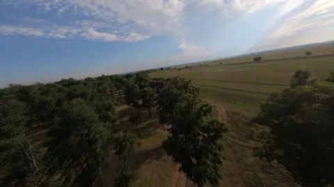 Fpv drone flight in oak grove Stock Footage 206716581