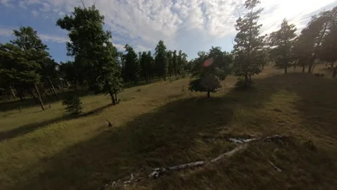 Fpv drone flight in oak grove Stock Footage 206716830