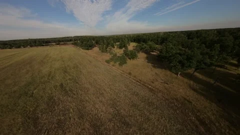 Fpv drone flight in oak grove Stock Footage 206716833