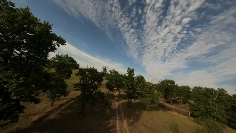 Fpv drone flight in oak grove Stock Footage 206716836
