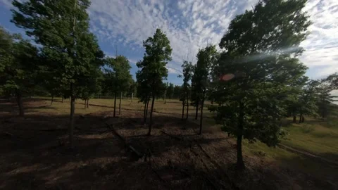 Fpv drone flight in oak grove Stock Footage 206717025