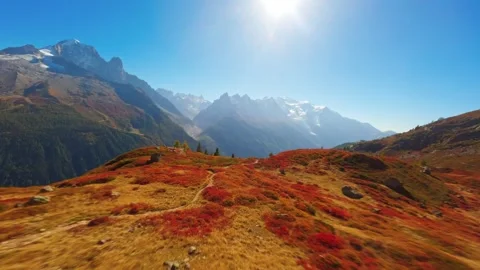 FPV Drone Flight Over Alpine Meadow Facing Mont Blanc Video stock 305801615