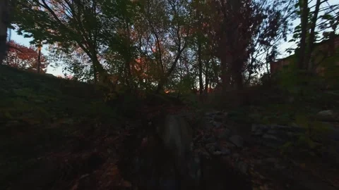 FPV Drone Flight Over Autumn Creek at Dusk Stock Footage 319364135