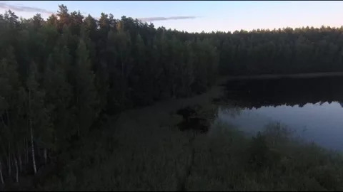Fpv drone flight over blue lakes in a green forest over water Stock Footage 208609398