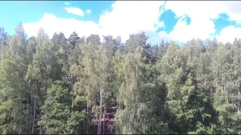 Fpv drone flight over blue lakes in a green forest over water Stock Footage 208610268