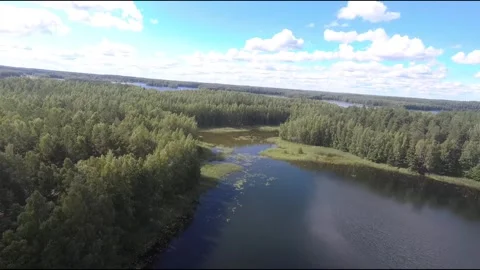 Fpv drone flight over blue lakes in a green forest over water Stock Footage 208610726