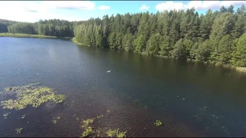 Fpv drone flight over blue lakes in a green forest over water Stock Footage 208612396