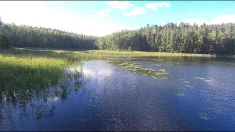 Fpv drone flight over blue lakes in a green forest over water Stock Footage 208612642