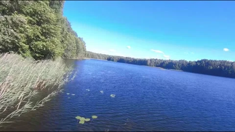 Fpv drone flight over blue lakes in a green forest over water Stock Footage 208612647