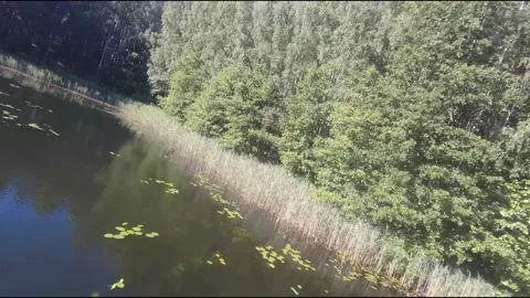 Fpv drone flight over blue lakes in a green forest over water Stock Footage 208612842
