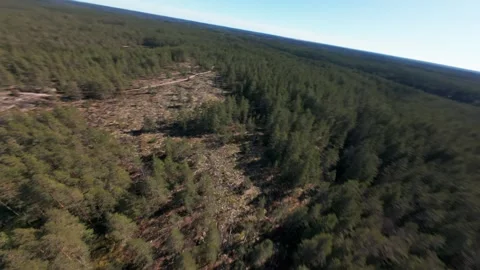 FPV Drone Flight Over Boreal Forest in Nuuksio, Finland Stock Footage 335892099