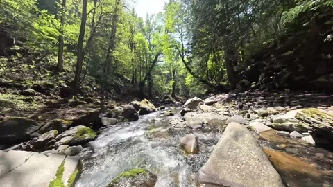 FPV Drone Flight Over a Clear River Flowing from a Waterfall in a Green Forest Video stock 335759895