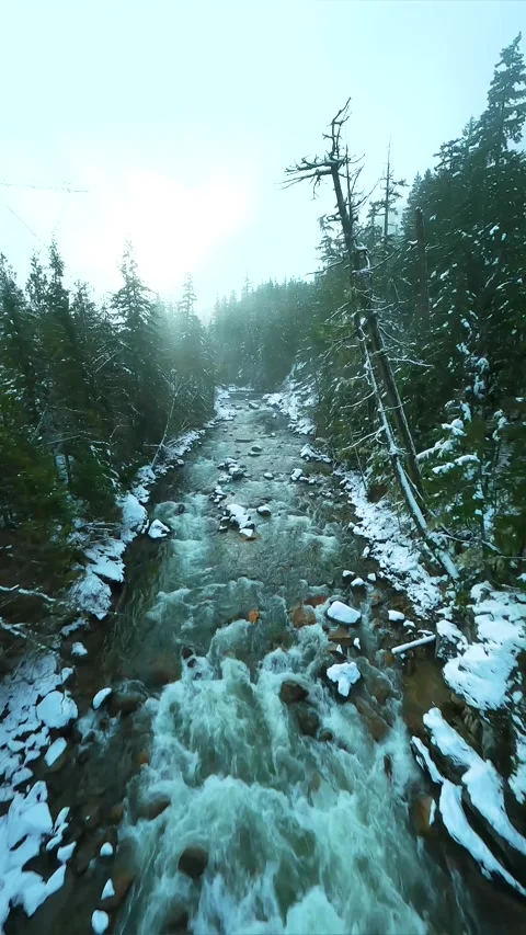 FPV drone flight over the fast moving river with rapids. Stock Footage 278897074